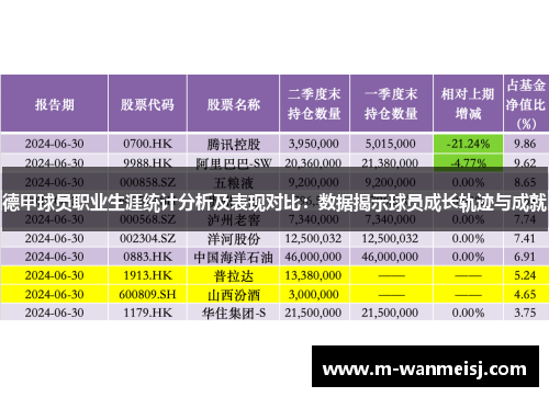 德甲球员职业生涯统计分析及表现对比：数据揭示球员成长轨迹与成就