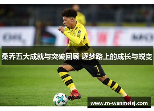 桑乔五大成就与突破回顾 逐梦路上的成长与蜕变