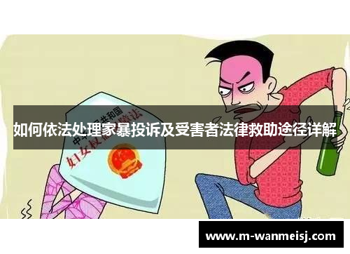 如何依法处理家暴投诉及受害者法律救助途径详解