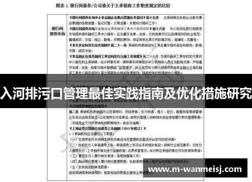 入河排污口管理最佳实践指南及优化措施研究