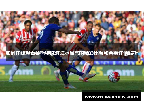 如何在线观看莱斯特城对阵水晶宫的精彩比赛和赛事详情解析