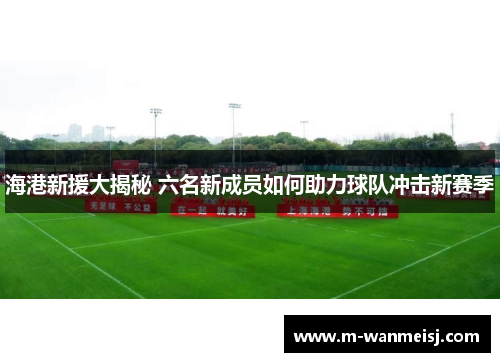 海港新援大揭秘 六名新成员如何助力球队冲击新赛季