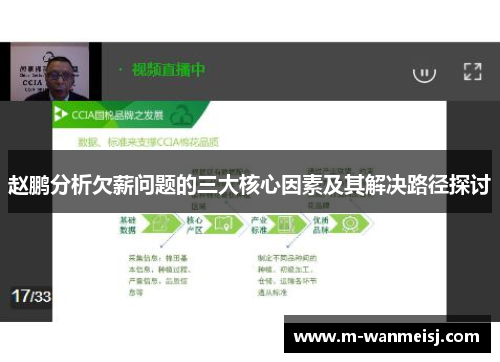 赵鹏分析欠薪问题的三大核心因素及其解决路径探讨