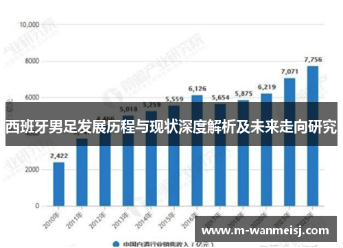西班牙男足发展历程与现状深度解析及未来走向研究